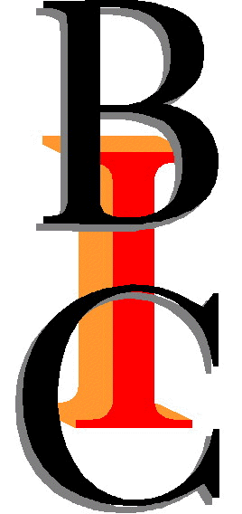 Black International Cinema